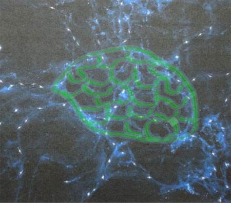 Quasar orientati